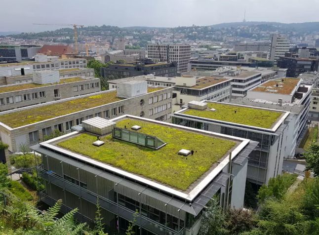 Dachy zielone sposób na schłodzenie miasta latem