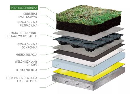 mieszanka rozchodnika na dachy zielone - zastosowanie