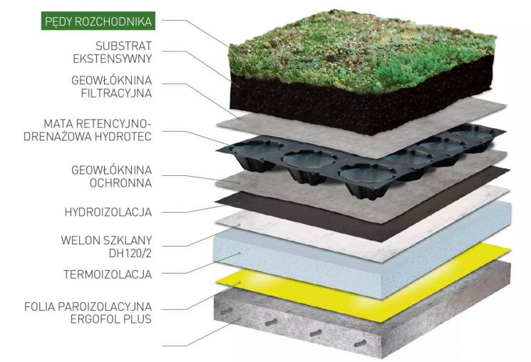 mieszanka rozchodnika na dachy zielone - zastosowanie