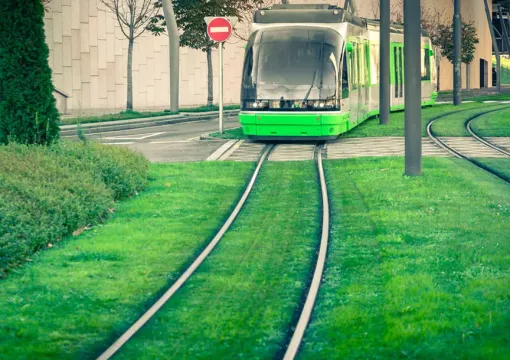 zielone torowiska tramwajowe