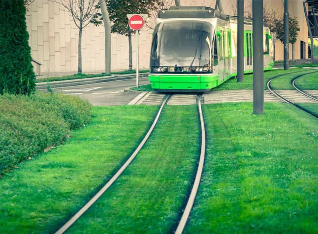 zielone torowiska tramwajowe