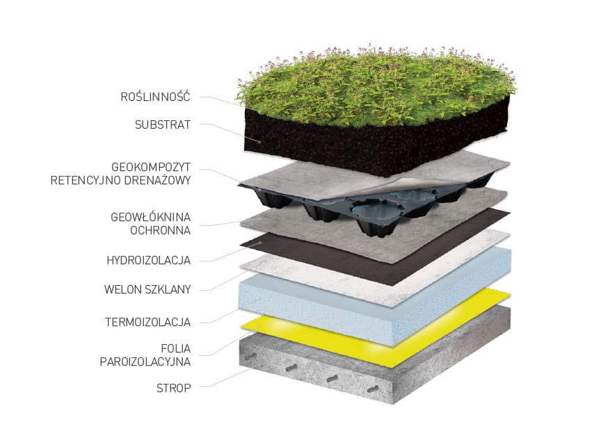 Budowa dach zielony